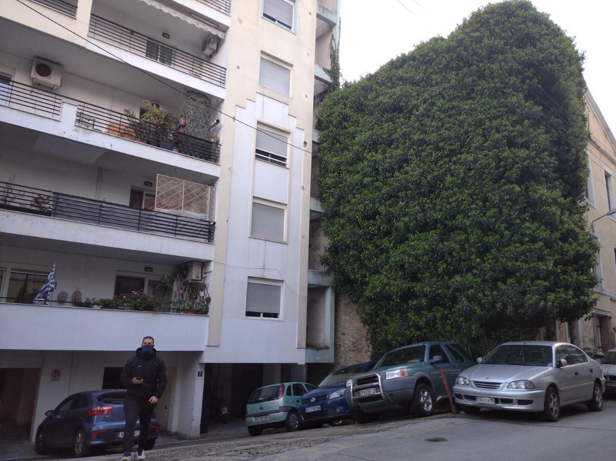 Precious Diamond With View - Parking Place And Superfast Wifi كافالا المظهر الخارجي الصورة